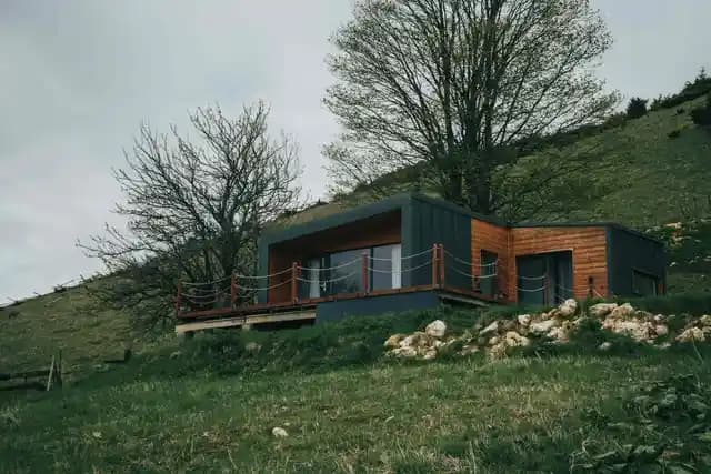  Photo : Vlasceanu Pexels