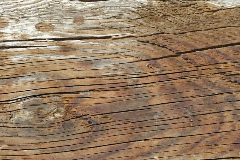 Gonflement du bois, taches, couleur plus sombre sont les signes d'un bois humide.