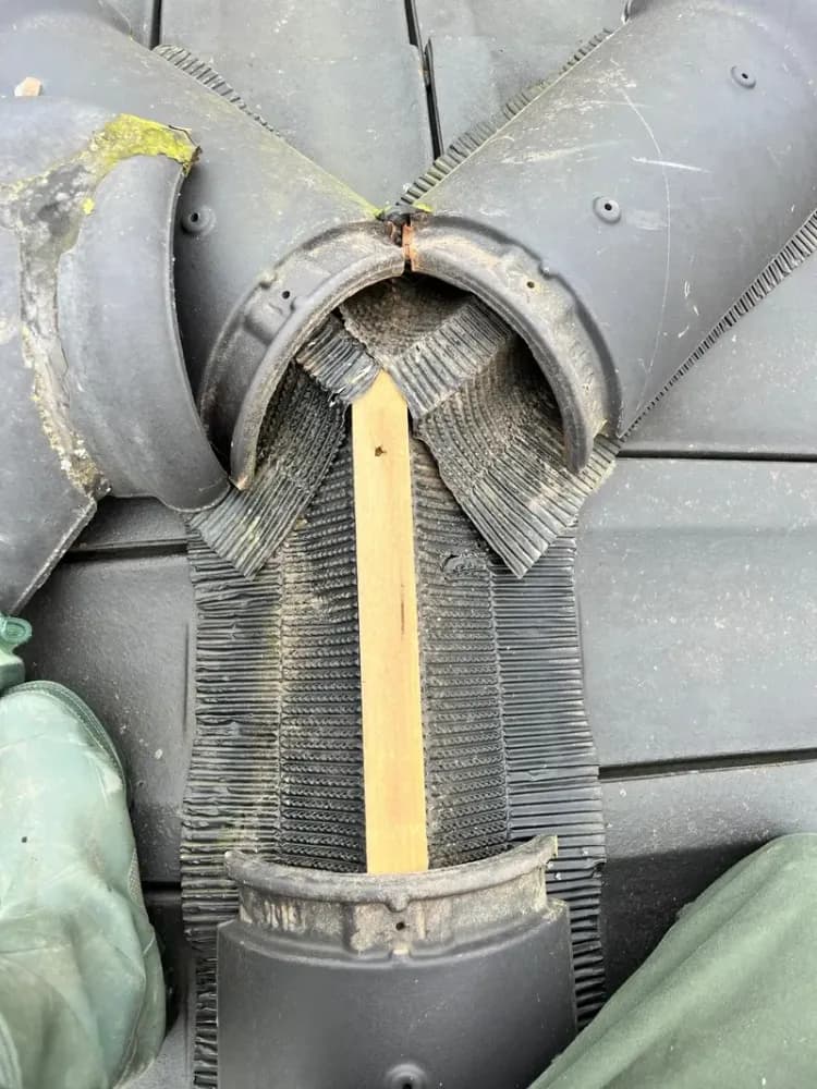 Vue des éléments sous la tuile déplacée Photo : JL